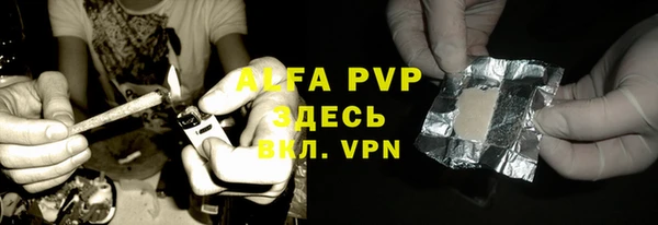 прущие крисы Белокуриха