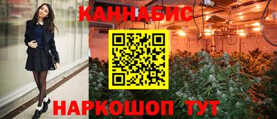 гашик Боровичи