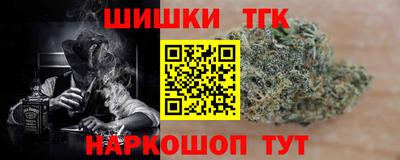 стаф Шелехов