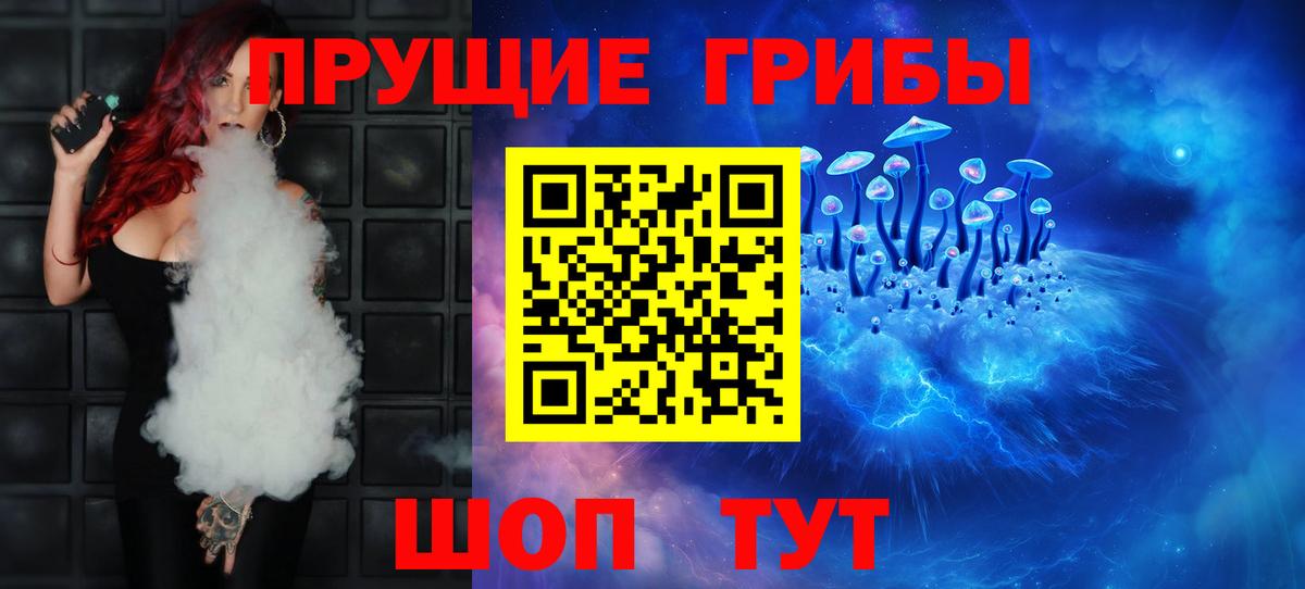 Видное  Галлюциногенные грибы GOLDEN TEACHER  Вход с VPN  Галлюциногенные грибы Cubensis 